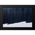 thumbnail image 2 of Yang, BJ 24x17 Black Modern Framed Museum Art Print Titled - Deep In Canyon, 2 of 5