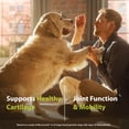 thumbnail image 6 of PRN Pharmacal Duralactin Canine Joint Plus - Joint Health Supplement for Dogs & Puppies to Support Healthy Cartilage Levels & Joint Function while Helping Manage Soreness - 60 Soft Chews, 6 of 8