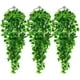 thumbnail image 1 of Decoración Plantas De Interior 3 Piezas Cestas Colgantes) Exterior Para Pared (Sin Hogar, 1 of 8