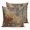 Brown Gray, variant on 20x20 Pillow Covers Set of 2, Brown Gray Throw Pillow Covers Decorative Couch Cushion Case, Rustic Abstract Gradient Mottled Texture Microfiber Square Pillowcases for Bedroom Car Living Room