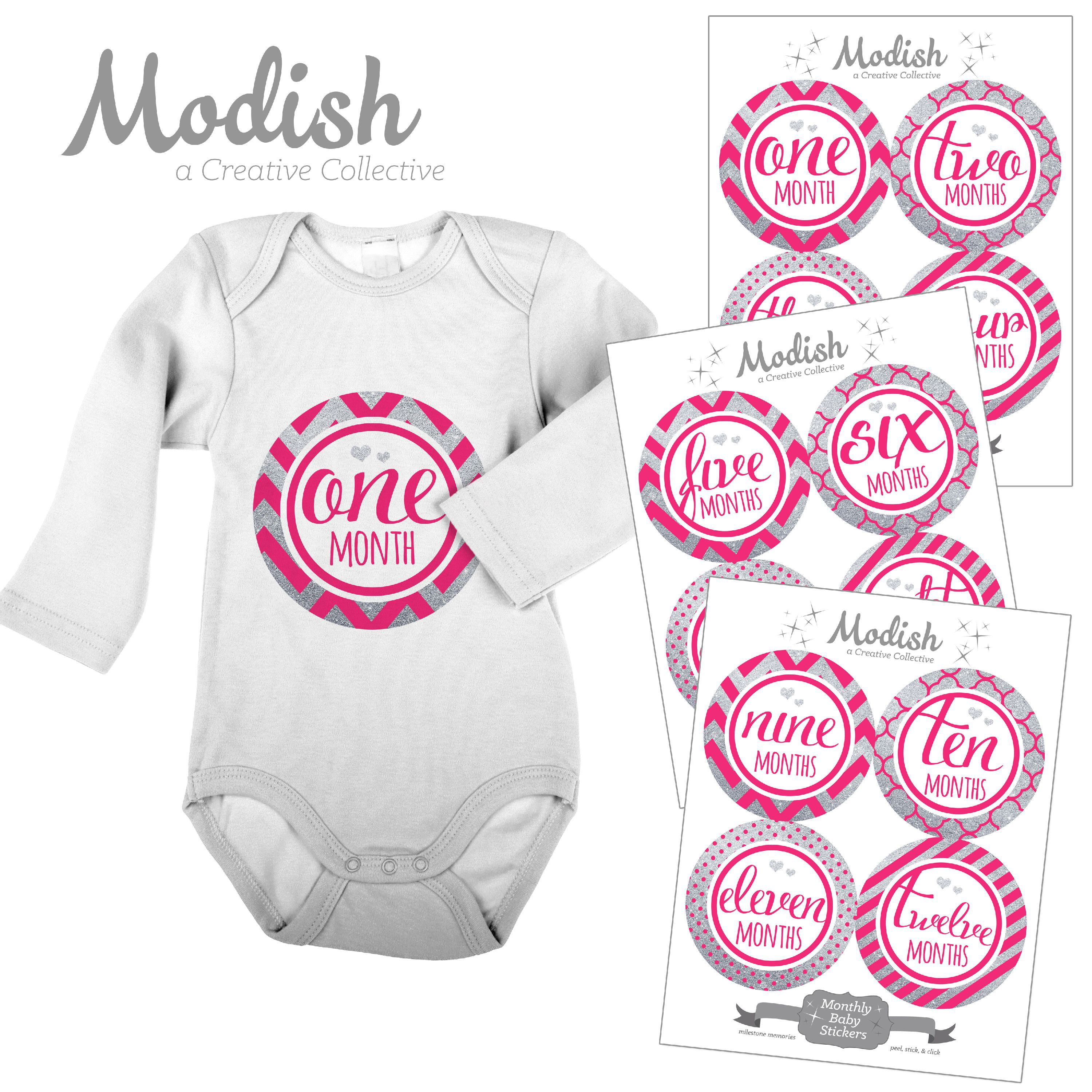 12 Baby 1st First Year Memory Milestone Stickers Photo Props Girls