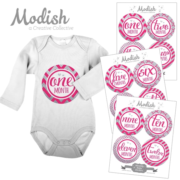 Modish Monthly Baby Stickers, Girl, Pink, Silver, Chevron, Stripes, Baby Photo Prop, Baby Shower Gift, Baby Book Keepsake