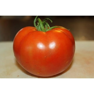 17+ Walmart Tomato Plants