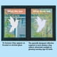 thumbnail image 3 of Pegatinas de seguridad anticolisión para ventanas con pájaros y hojas, 3 of 6