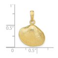 thumbnail image 2 of 10k Gold Medium Clam Shell Pendant Necklace 22.5x14.75mm Wide Pendant for Women - 1.7 Grams, 2 of 2
