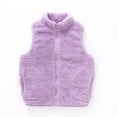 thumbnail image 2 of Chaleco Cálido De Invierno Para Niños Pequeños Chaquetas Con Cremallera Para Niños Y Niñas Con Bolsillo Ropa De Abrigo A Prueba De Viento De Color Sólido Odeerbi LM103-9288, 2 of 4
