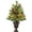 2ft, variant on Lumiparty 2 FT Artificial Tabletop Christmas Tree, Mini Xmas Tree with 40 LED Warm Lights for Door Front, Tabletop