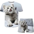 thumbnail image 1 of gatos chicos &amperio; Conjuntos para niñas de 1 a 14 años de edad, ropa de dibujos animados para niños, trajes estampados, camisetas de manga corta, Tops + pantalón corto, 2 uds./disfraz, trajes 3T Gao Jinjia LED, 1 of 2