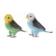 thumbnail image 4 of 2 piezas de simulación de figuras de loros de juguete para de 3 años, figuras de animales de plástico realista, proyecto de ciencia, dec Zulema Juguetes de simulación de loros, 4 of 8