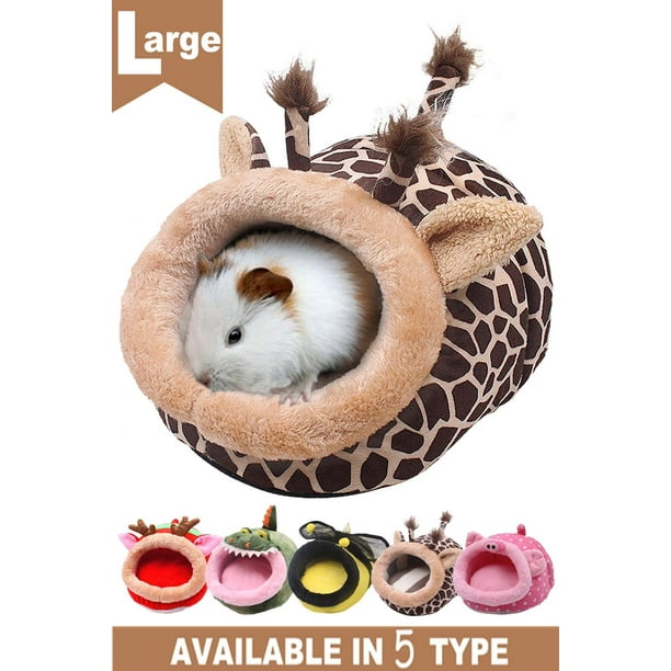 Chinchilla accessories top and toys