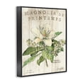 thumbnail image 2 of Stupell IndustriesFrench Magnolias In SpringFramed Wall Art by Sue Schlabach, 2 of 5