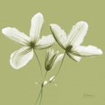 thumbnail image 2 of Koetsier, Albert 15x15 Gold Ornate Wood Framed with Double Matting Museum Art Print Titled - Twin Buds on Pale Green, 2 of 4