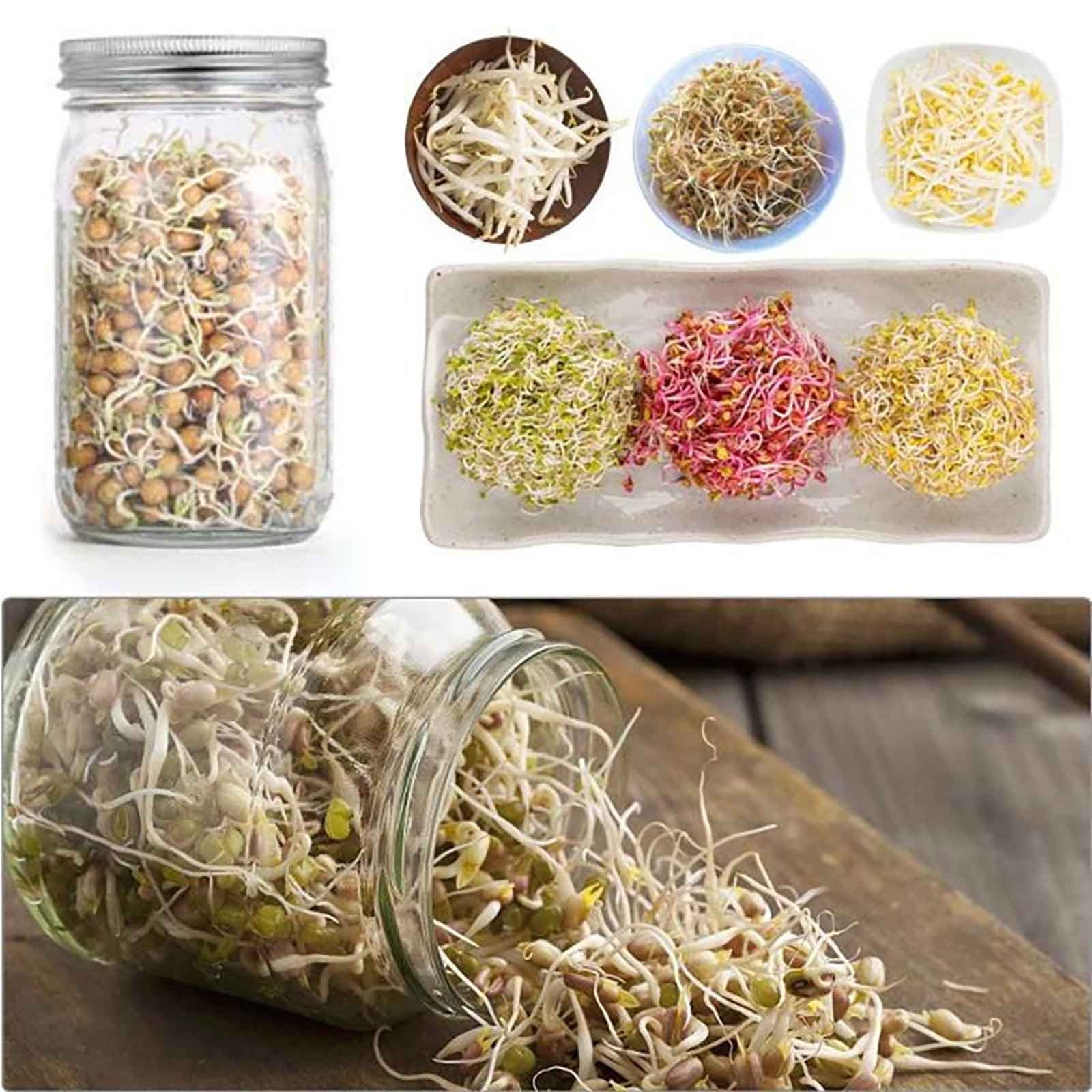 syligr Complete Sprouting Kit with 2 Glass Jars Stainless Steel Lids, Wide Mouth Seed Sprouter for Broccoli Alfalfa Beans, Food Grade Germination Tray Stand, Easy Home Sprout Grower for Beginners