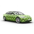 thumbnail image 6 of Rwraps Lettuce Vegetable Little Gem Romaine Matte Vinyl Film Wrap 59in x 12ft Vinyl Vehicle Car Film, 6 of 9