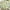 Pattern10, variant on Country Oval Tablecloth for Oval Table Waterproof Table Cloths for Dining Room Indoor Outdoor Home Decorative Table Cloth-60x120in