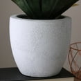 thumbnail image 3 of Northlight 13" Agave Artificial Potted Plant - Green, 3 of 6
