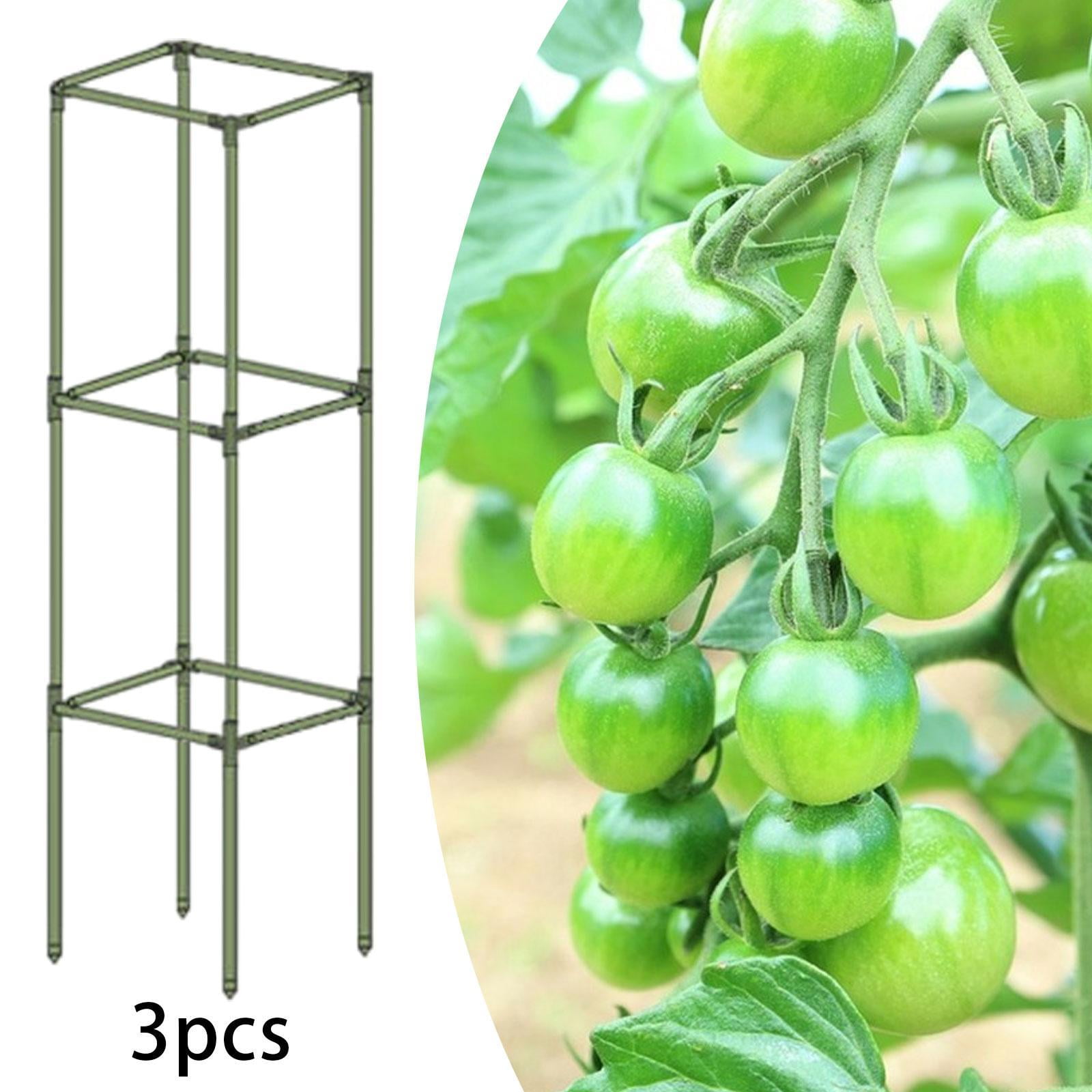 Aymzbd 3Pcs Square Tomato Cages Vegetable Stake Trellis Versatile Plant Stakes Support