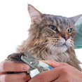 thumbnail image 3 of Pet Safety Claw Nail Scissors Cutter Dogs Cats Clippers Trimmer Pet Grooming with Nail Toe File, 3 of 8