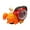 Crab Orange, variant on Vaveren Walking Toy Early Learning Toy Sensory Toy Baby Toy for Kids Baby Girls Boys Submarine