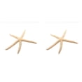 thumbnail image 1 of Bewildely Natural 5-12 cm/10-12 cm dedo blanco estrella de mar mar elegante hogar pelo boda decoración y proyecto artesanal blanco 10-12cm 2piezas, 1 of 6