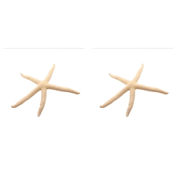 Cateissary Natural 5-12cm/10-12cm White Finger Starfish Lightweight Decor Waterproof Shells Starfish Conch Wedding Ornament blanco 10-12cm 2piezas