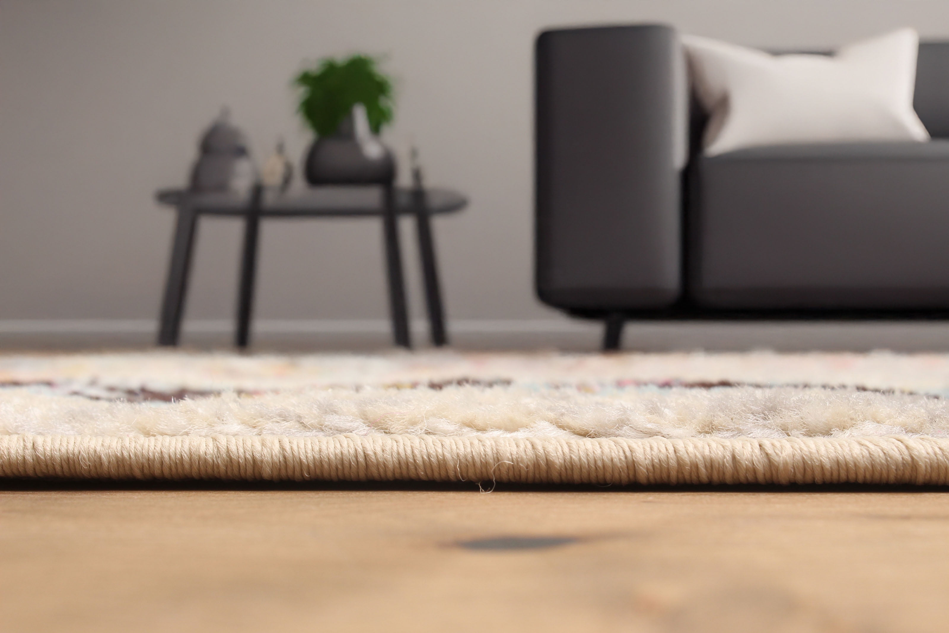 ECARPET Aldora Traditional Area Rug for Living Room, Bedroom, Dining Room, Entrance, Hallway and More