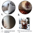 thumbnail image 3 of Designart "Squirrel in Snow with Scarf III" Animals Wall Art - Modern White Squirrel Bedroom Canvas Wall Art, 3 of 6