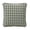 Ivory /Green, variant on My Texas House Ivory/Red Micro Gingham Throw Pillow 18" x 18"