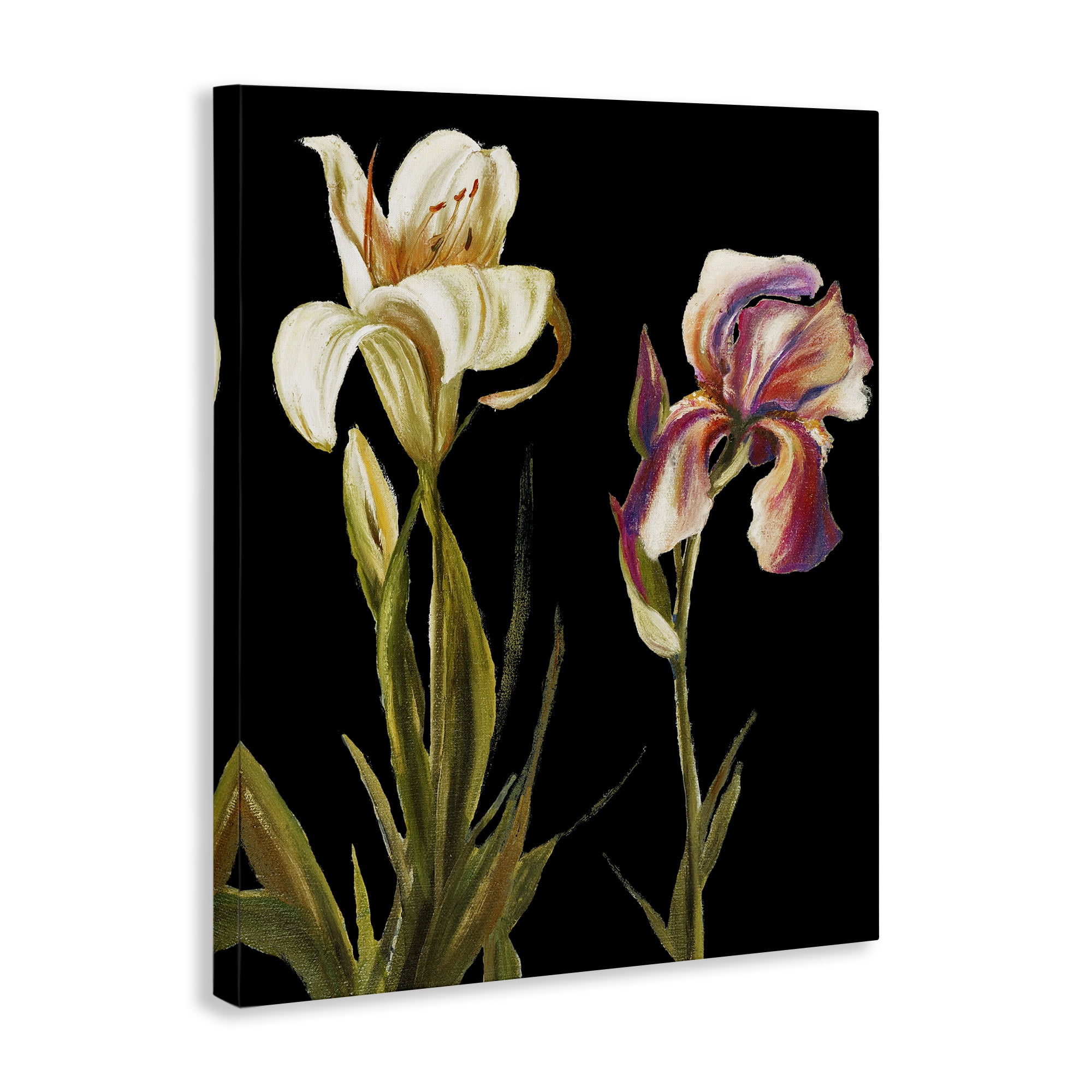 Stupell Industries Alluring Iris Blooms Botanical & Floral Painting Gallery Wrapped Canvas Art Print Wall Art, 36 x 48
