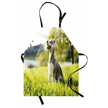 

Alaskan Malamute Apron Klee Kai Puppy Sitting on Grass Looking Up Friendly Young Cute Animal Unisex Kitchen Bib Apron with Adjustable Neck for Cooking Baking Gardening Multicolor by Ambesonne