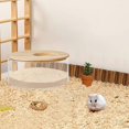 thumbnail image 2 of Hamster Sand Bath Box Large, Transparent Acrylic Sand Bath Container & Hamster Bathroom, House and Accessories for Hamsters Gerbils Lemming…, 2 of 5
