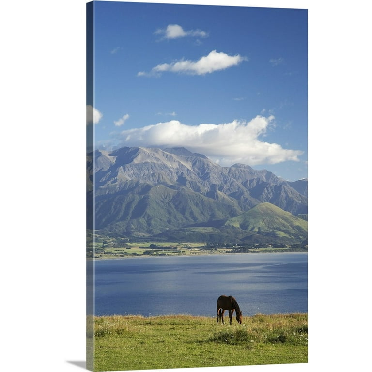 Great BIG Canvas  Horse, Kaikoura and Seaward Kaikoura Ranges, South  Island, New Zealand Canvas Wall Art - 16x24 