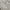 Grey, variant on Nourison Elation Persian Ivory Blue 9' x 12' Area Rug, (9x12)