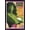 Black Framed Version, variant on Marvel Comics - She Hulk Card Wall Poster, 22.375" x 34", Framed