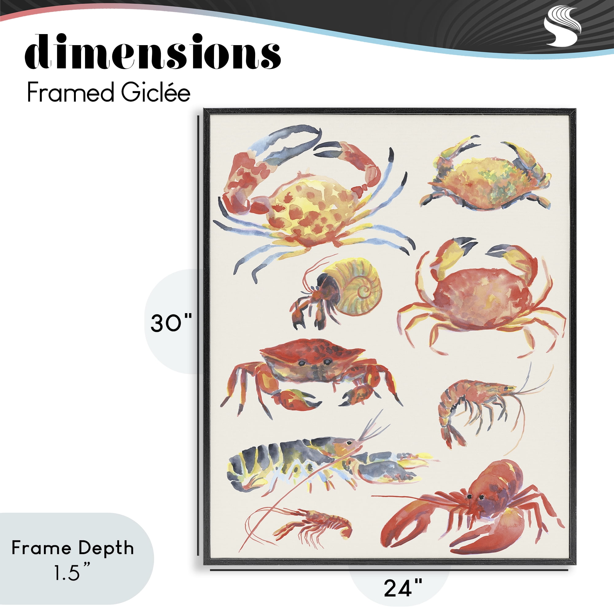 Stupell Industries Nautical Crustacean Collection Black Framed Giclee Art, design by June Erica Vess
