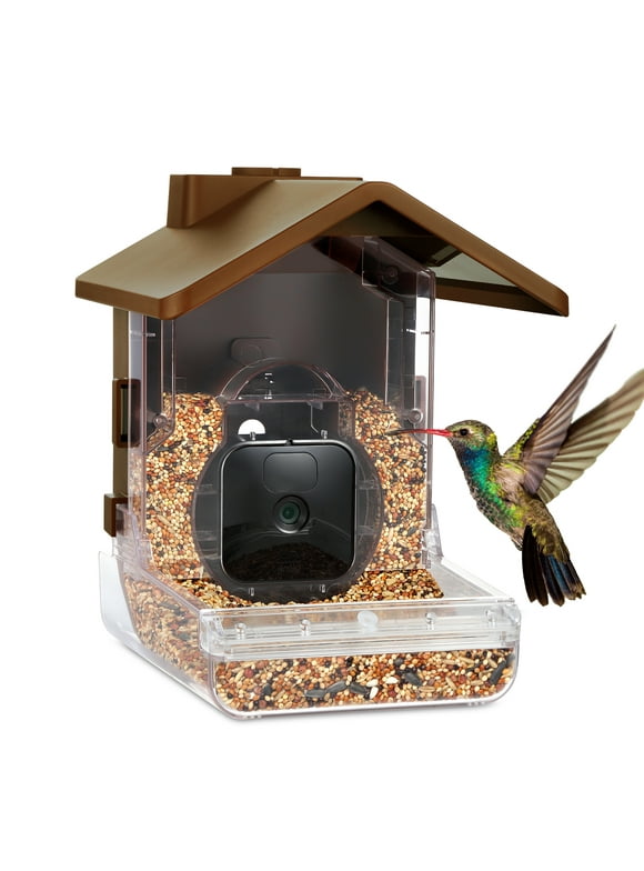Bird Feeders with Camera in Bird Feeders
