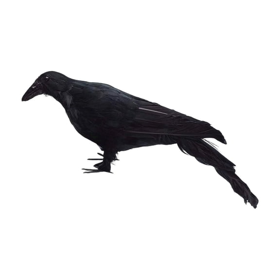 XHKUYI Halloween Realistic Crow 13 inch, Fake Black Feathered Standing Crow, Spooky Ravens for Halloween Yard Tree Garden Patio Haunted House Prop