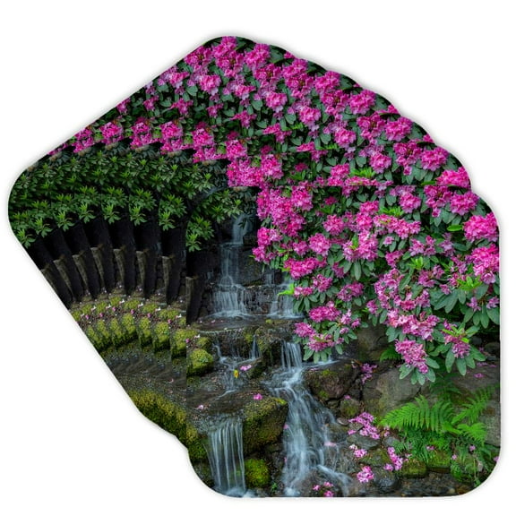 3drose, Oregon, Portland, Rhododendron Blooms Alongside Waterfall and Ferns., Set of 8 Coasters - Soft