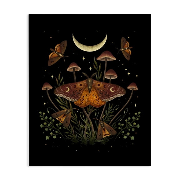 Stupell Industries Eclectic Astral Moth & Moon Canvas Art, 16 x 20, by Episodic Drawings