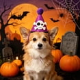 thumbnail image 4 of Aoznliie Dog Hat, Funny Adjustable Halloween Hat for Party Apparel, 4x4 inch Lightweight Pet Party Hat for Halloween Photo Props, Purple, 4 of 6