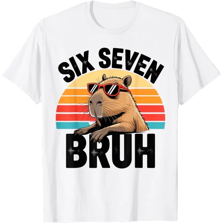 Six Seven Bruh 67 Meme Capybara T-Shirt