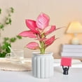 thumbnail image 4 of Plastic Plant Pot for Plants Flowers, Modern Wave Texture Pot, Water Storage Self-Watering Flower Pot, Enhanced Drainage, Decorative Plant Pot for Indoor Outdoor Garden Plants, 4 of 6