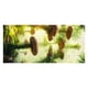 thumbnail image 2 of Toalla de playa de microfibra, súper colorida, resistente a la arena, multiusos, para viajes, piscina, 76 x 152 cm, 2 of 7