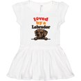 thumbnail image 3 of Inktastic Labrador Retriever Dog Gift Girls Toddler Dress, 3 of 5