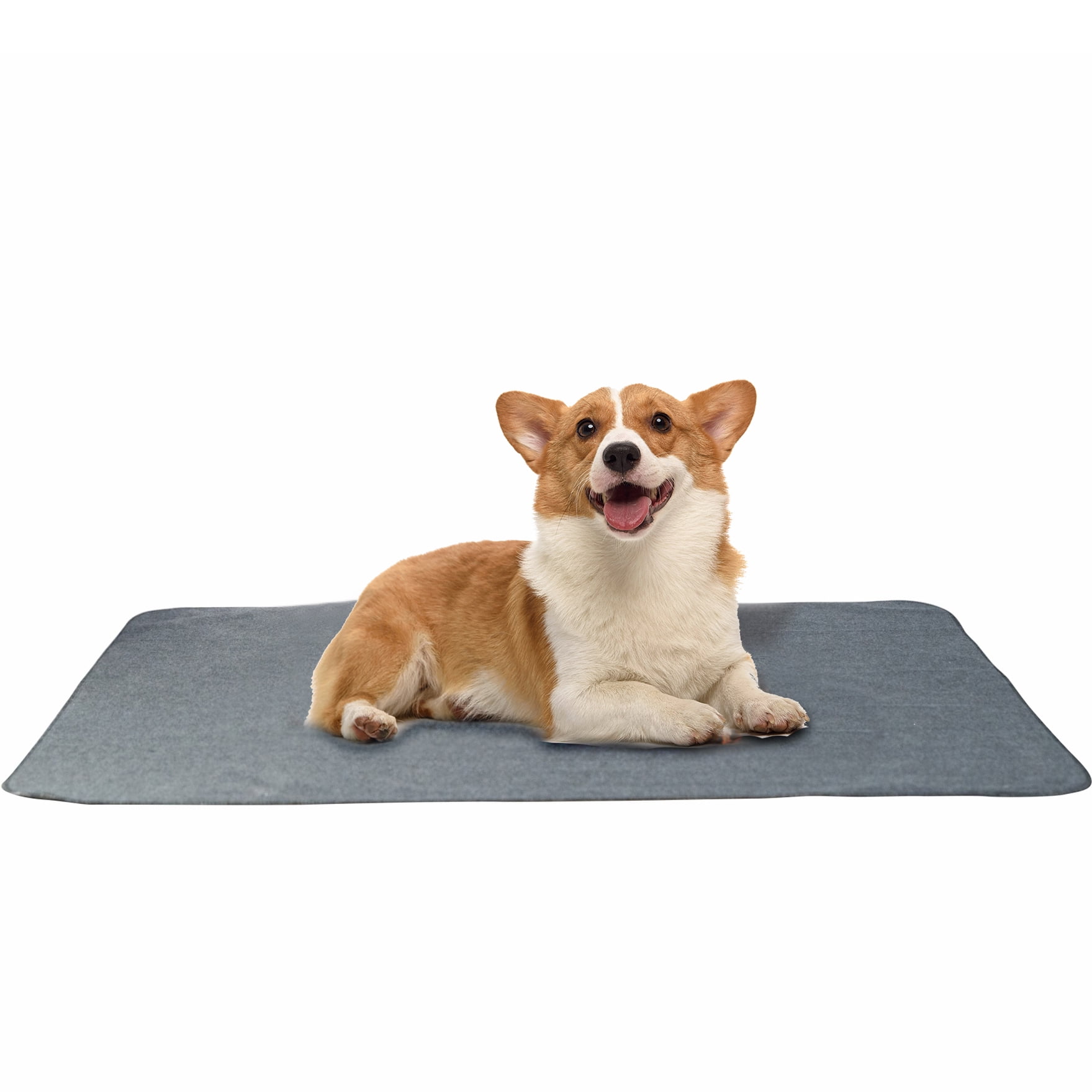 Carkira Pet Training Mat Dog Peeing Mat, Washable Pet Mat, Playpen Mat