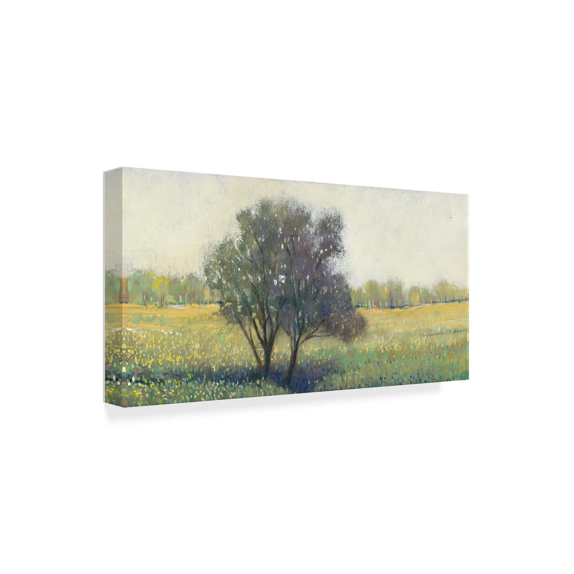 Trademark Fine Art 'Standing Alone I' Canvas Art by Tim OToole