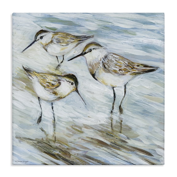 Stupell Industries Traditional Wetlands Sandpiper Trio Canvas Art, 17 x 17, by Susan Winget