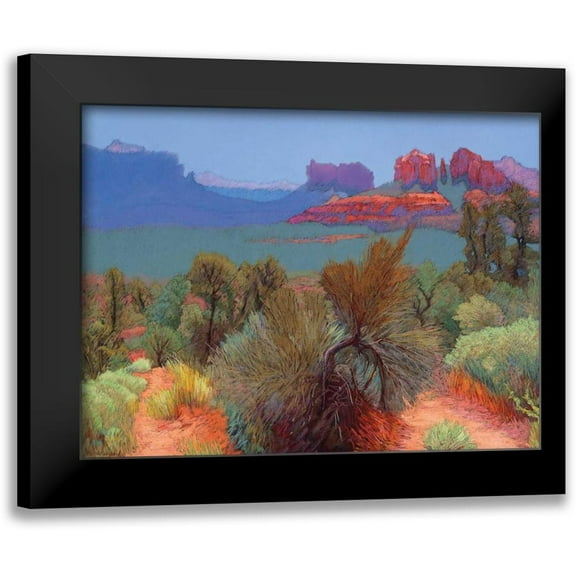 Silverwood, Mary 14x12 Black Modern Framed Museum Art Print Titled - High Desert