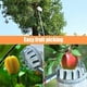 thumbnail image 5 of Fruit Picking Tools, Metal Cherry Picking Tools, Fruit Picking Basket Heads, Garden Hardware Tools, 5 of 5