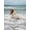 Unframed, variant on Art.com Icelandic Horse in the Sea, Longufjorur Beach, Snaefellsnes Peninsula, Iceland Photographic Print, 12" x 16"